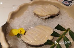 Fresh 10-Head Abalone