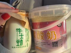 -德禄酸奶(莫家街店)