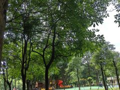 -东莞植物园