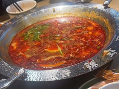 -0048鲜活香辣虾·火锅(铜陵路店)