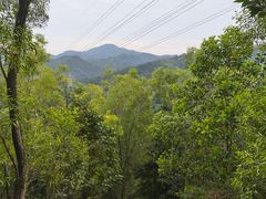 -中山市树木园