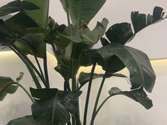 -筋骨堂热敷推拿按摩(九方购物广场店)