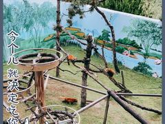 -西霞口神雕山野生动物世界