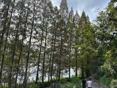 -新安江山水画廊风景区