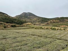 -嵛山岛