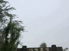 -泗洪洪泽湖湿地景区