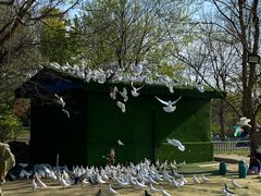 -南通洲际绿博园