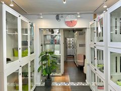 -青奢宠物·青奢猫舍