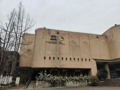 -自贡恐龙博物馆