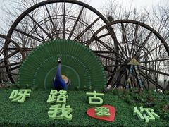 -呀路古热带植物园