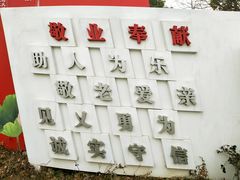-南翔镇银翔湖公园