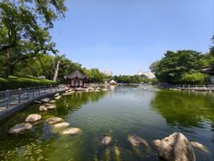 -莲湖公园