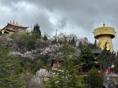 -迪庆藏族自治州博物馆