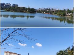 -枫香湖儿童公园