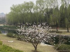 -元大都城垣遗址公园