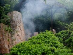 室外温泉-金孔雀温泉旅游度假村