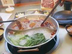 -手选潮汕鲜活牛肉火锅(二七广场店)