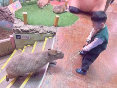 -正佳雨林生态植物园