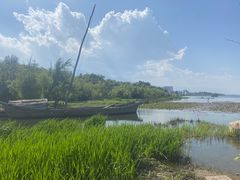 -洱海月湿地公园