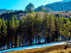 -硗碛藏寨·神木垒景区