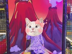 -嗨翻Hi-Fun竞技主题乐园·蹦床亲子生日轰趴(国光1937店)