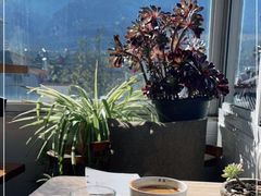 -唐咖精品咖啡(大理古城手冲店)