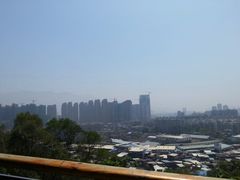 -金鸡山公园