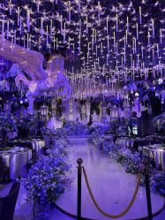 -花嫁丽舍婚礼殿堂(世博江景店)