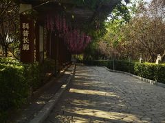 -西安汉城湖景区