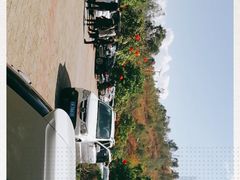 -元谋土林景区(物茂土林)