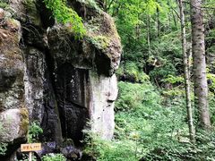 -望天鹅景区