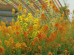 -中国天府农业博览园