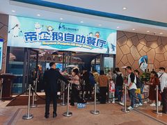 -帝企鹅自助餐厅•儿童岛•真企鹅(长隆企鹅酒店)