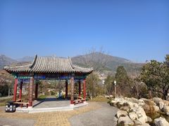 -泰山风景名胜区-虎山公园