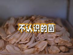 -南渝食府.墨脱石锅松茸鸡