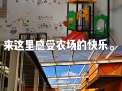 -前小桔亲子创意农场·草莓采摘·露营烧烤
