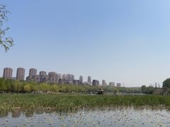 -前关湿地公园