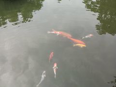 -杭州西湖柳莺里酒店·闻莺厅