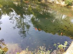 -大埔公路-马料水段香港中文大学(公交站)