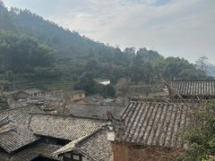 -杨家堂村