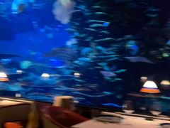 -迪拜帆船酒店海底餐厅