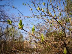 -元大都城垣遗址公园