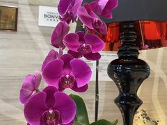 -重庆富力艾美酒店
