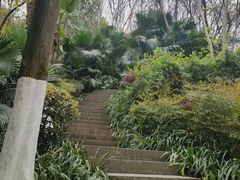 -重庆彩云湖湿地公园
