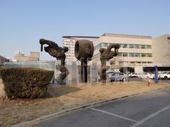 -天津市泰达医院