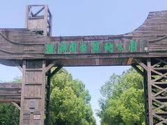 -溱湖国家湿地公园