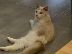 -猫苑生活馆