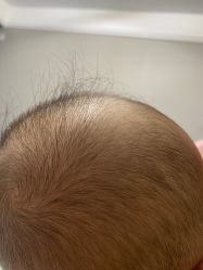 -小博士专业婴儿理发