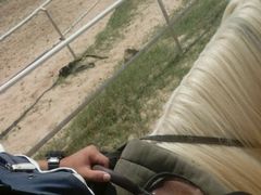 -南昌之星游乐场