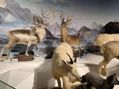 -陕西自然博物馆